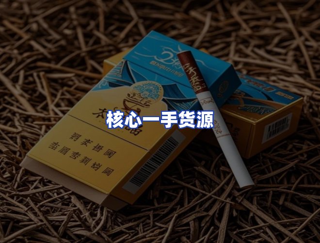 专业团队